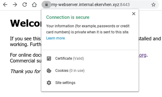 Browser tab displaying webserver domain secured with TLS.